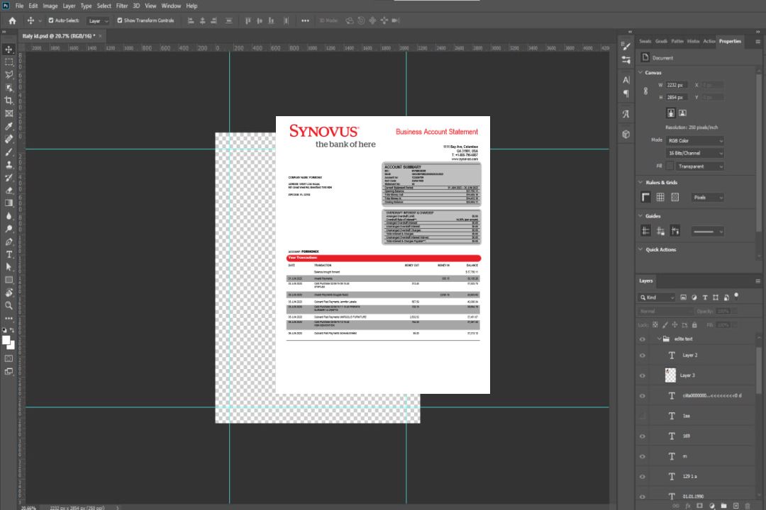 Modèle Word et PDF de déclaration d'entreprise de Synovus Bank template Modèle Word et PDF de déclaration d'entreprise de Synovus Bank template